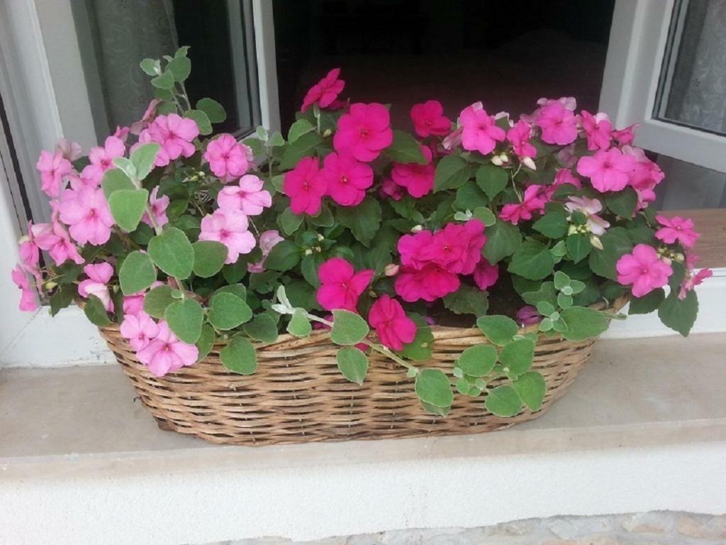 Rosa Apartman Crikvenica Exterior photo
